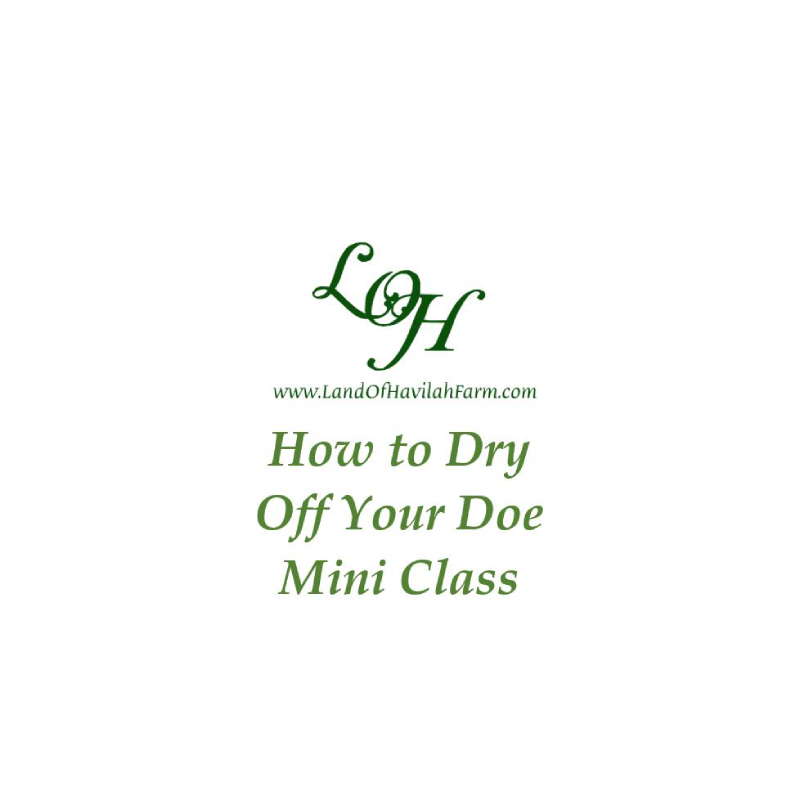 How to Dry Off Your Doe – Mini Class