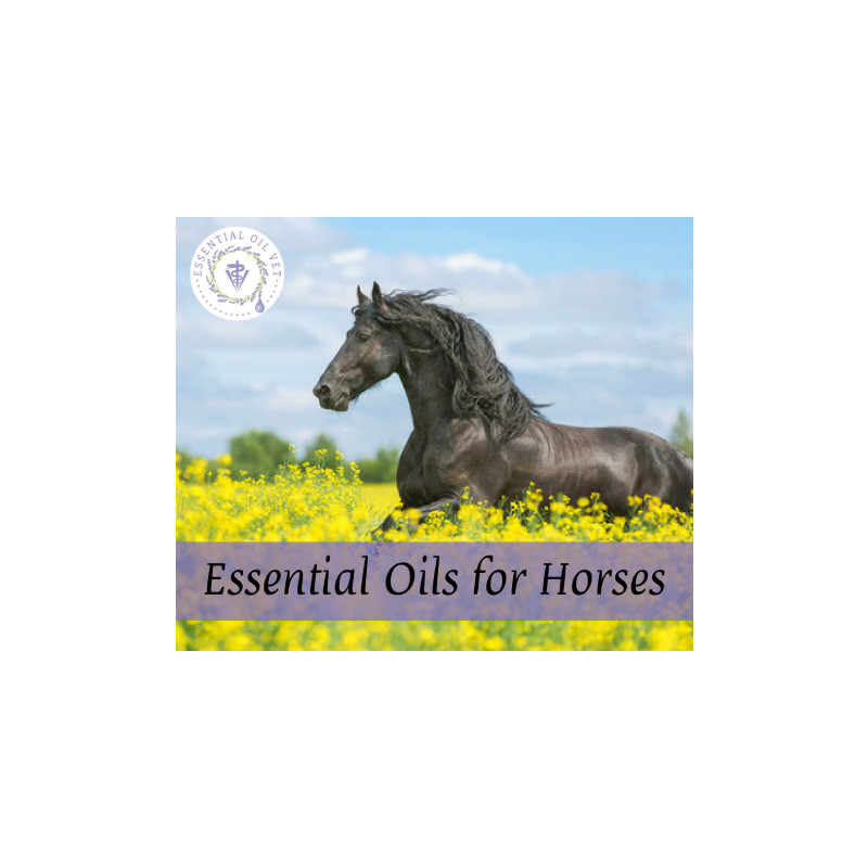 Essential Oils for Horses with Dr. Janet Roark (DVM)