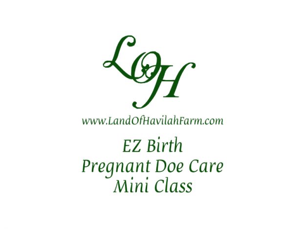 EZ Birth Pregnant Doe Care - Mini Class course image