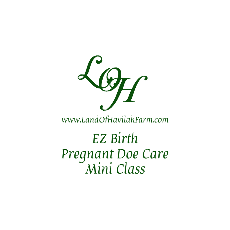 EZ Birth Pregnant Doe Care – Mini Class