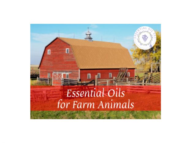Essential Oils for Farm Animals with Dr. Janet Roark (DVM) course image