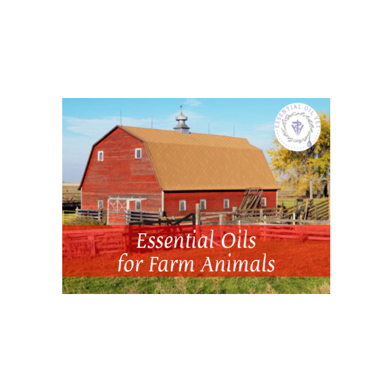 Essential Oils for Farm Animals with Dr. Janet Roark (DVM)