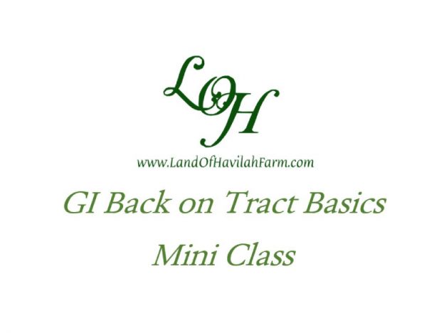 GI Back on Tract Basics - Mini Class course image