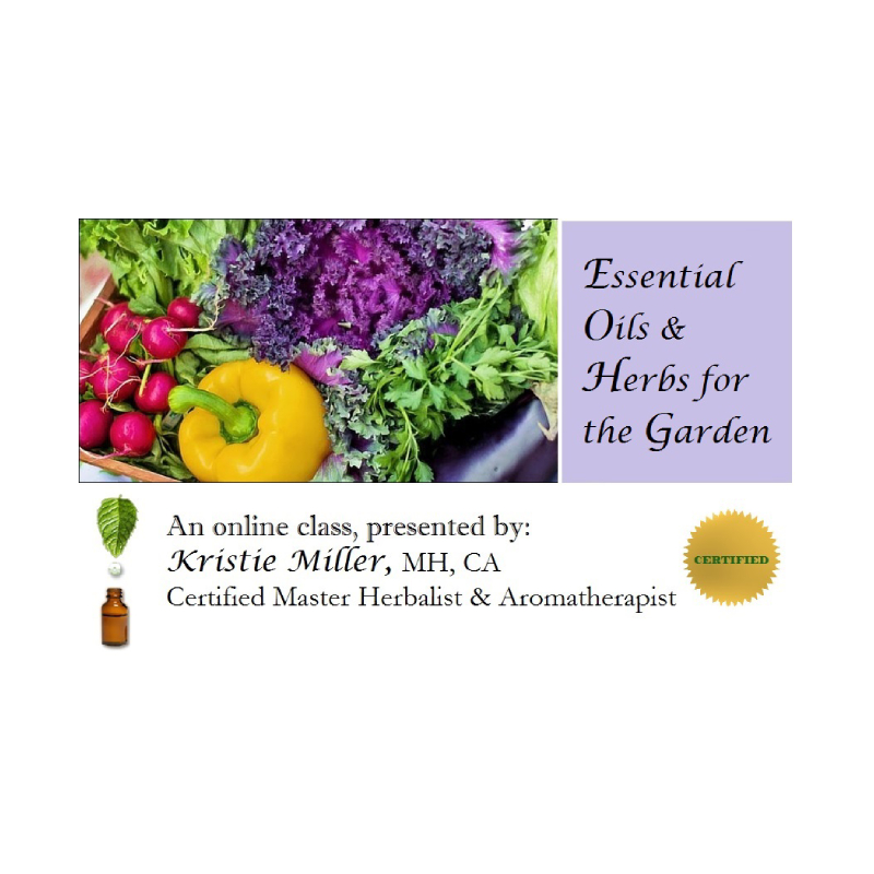 Essential Oils & Herbs for the Garden with Kristie Miller, MH, CA