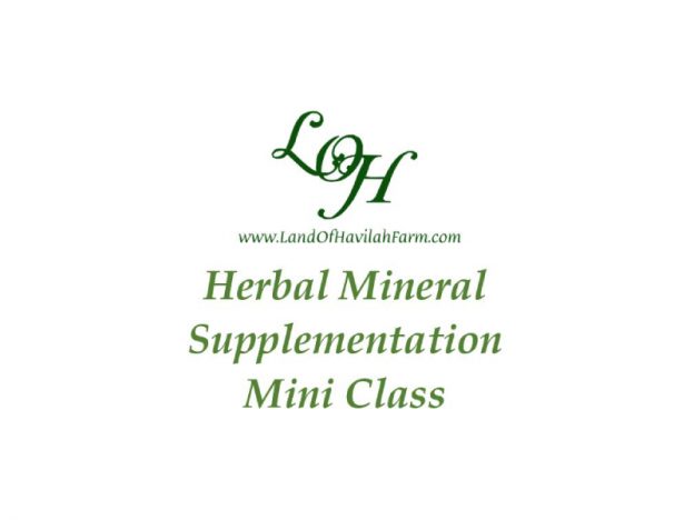 Herbal Mineral Supplementation - Mini Class course image