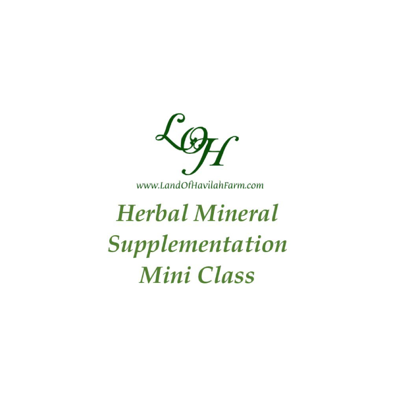 Herbal Mineral Supplementation – Mini Class
