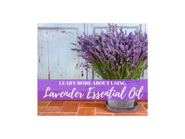 Learn More About Using: Lavender Essential Oil with Kristie Miller, MH, CA course image