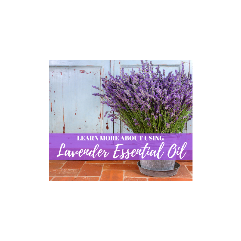 Learn More About Using: Lavender Essential Oil with Kristie Miller, MH, CA