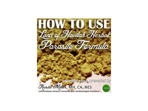How to Use Our Herbal Parasite Formula Mix with Kristie Miller, MH, CA course image