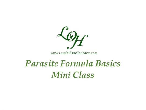Parasite Formula Basics - Mini Class course image