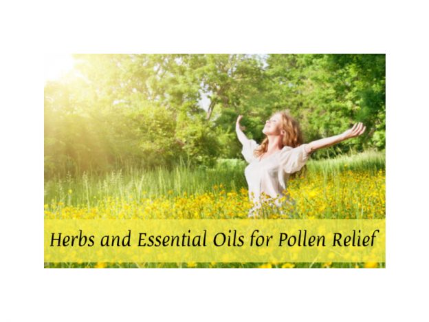 Herbs & Essential Oils for Pollen Relief with Kristie Miller, MH, CA course image