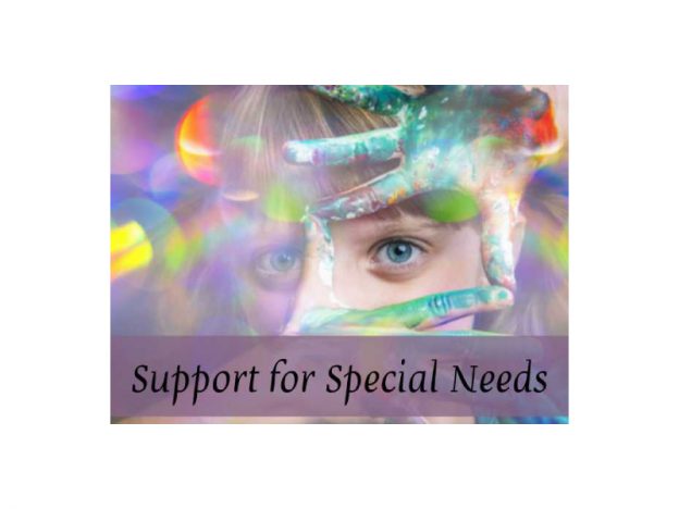 Support for Special Needs with Kristie Miller, MH, CA course image