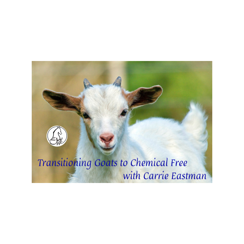 Transitioning Goats to “Chemical-Free” with Carrie Eastman