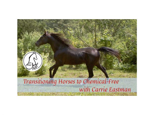 Transitioning Horses to "Chemical-Free" with Carrie Eastman course image