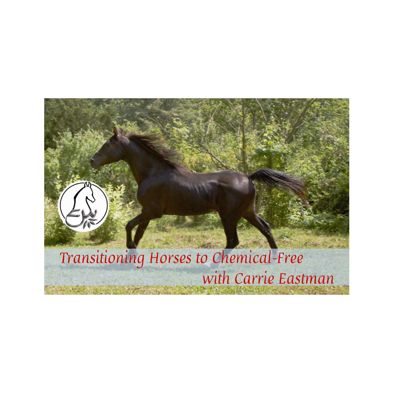 Transitioning Horses to “Chemical-Free” with Carrie Eastman