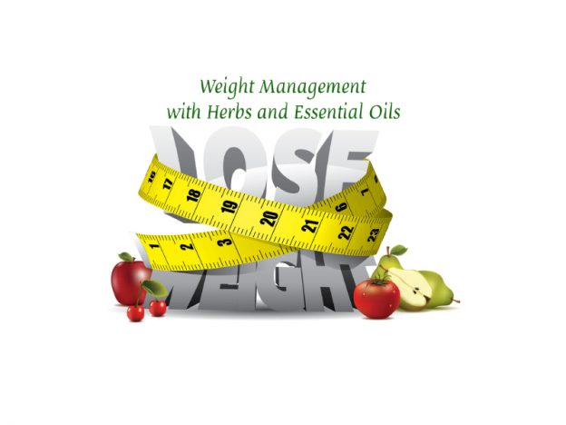 Weight Management: Herbs & Essential Oils with Kristie Miller, MH, CA course image