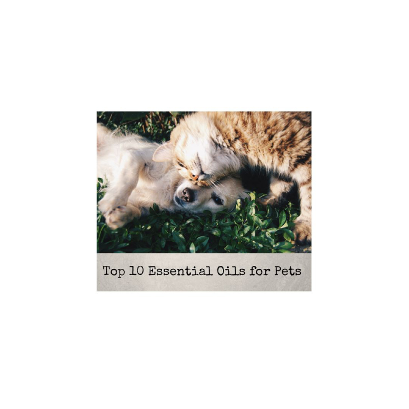 Top 10 Essential Oils for Pets WEBINAR with Dr. Janet Roark (DVM)
