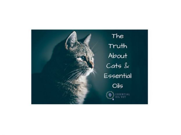 The Truth about Cats and Essential Oils with Dr. Janet Roark (DVM) course image