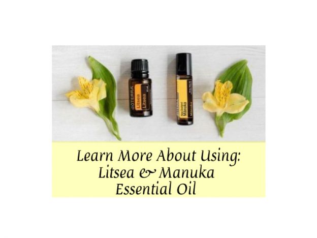 Learn More About Using: Litsea & Manuka Essential Oil with Kristie Miller, MH, CA course image