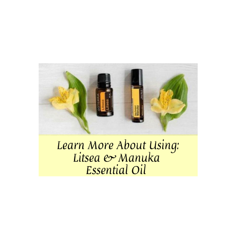 Learn More About Using: Litsea & Manuka Essential Oil with Kristie Miller, MH, CA