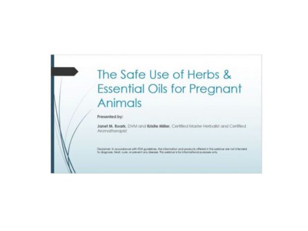 The Safe Use of Herbs & Essential Oils for Pregnant Animals - Dr. Janet Roark (DVM, CA), & Kristie Miller (MH, CA) course image